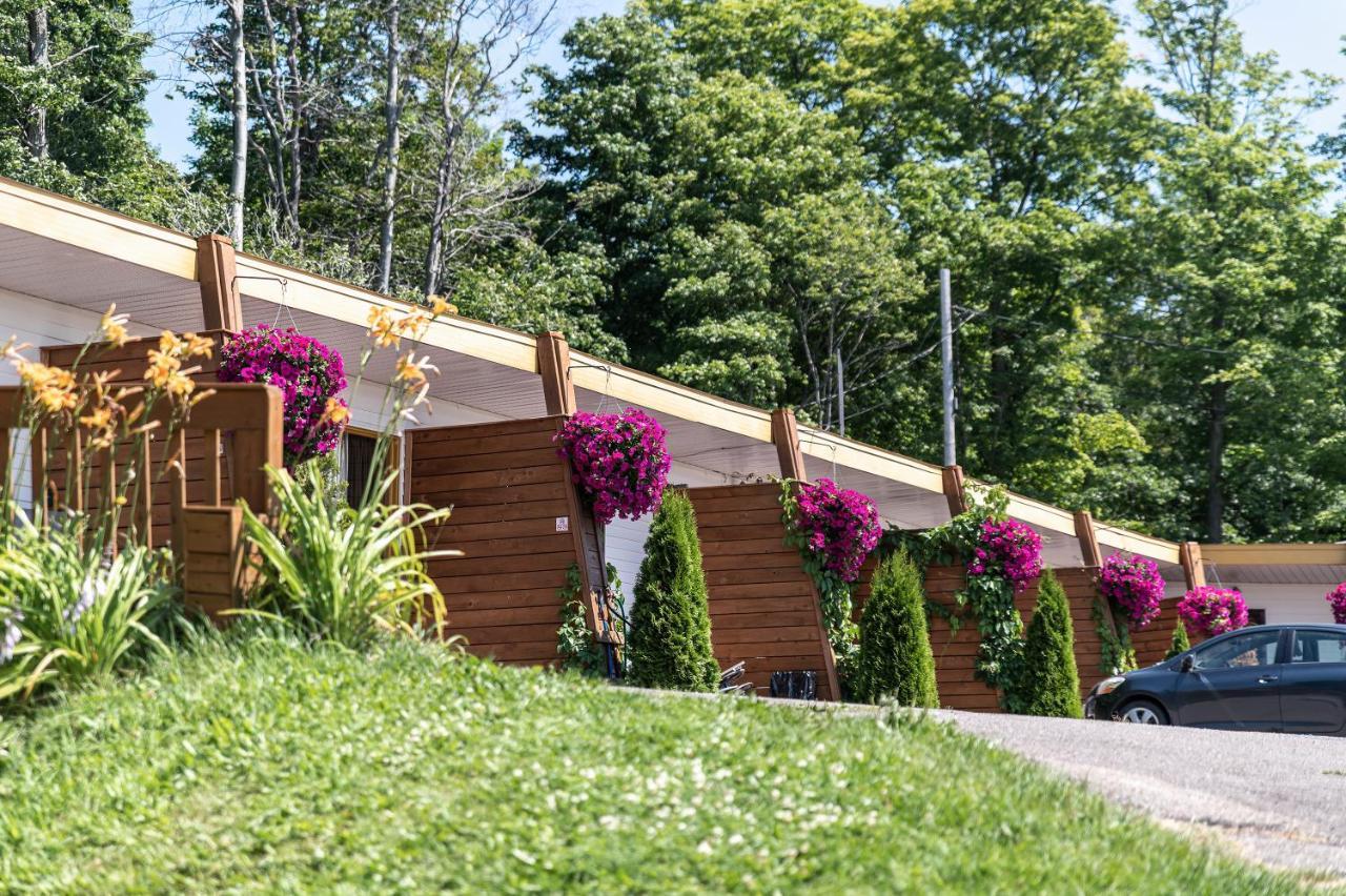 Sainte-Petronille Motel Ile D'Orleans المظهر الخارجي الصورة